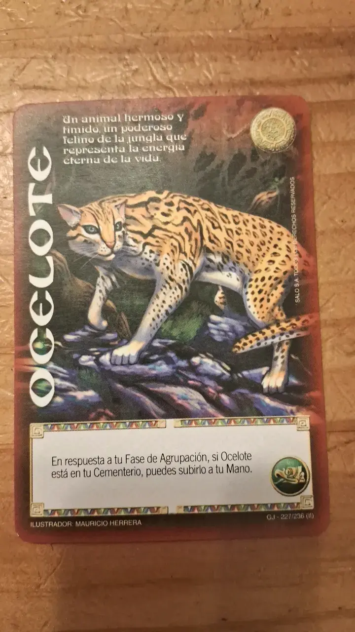 Cartas de juego coleccionables de fantasía - 4