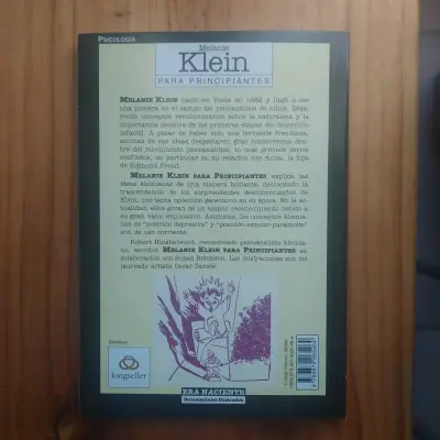 Melanie Klein para principiantes - miniatura 2