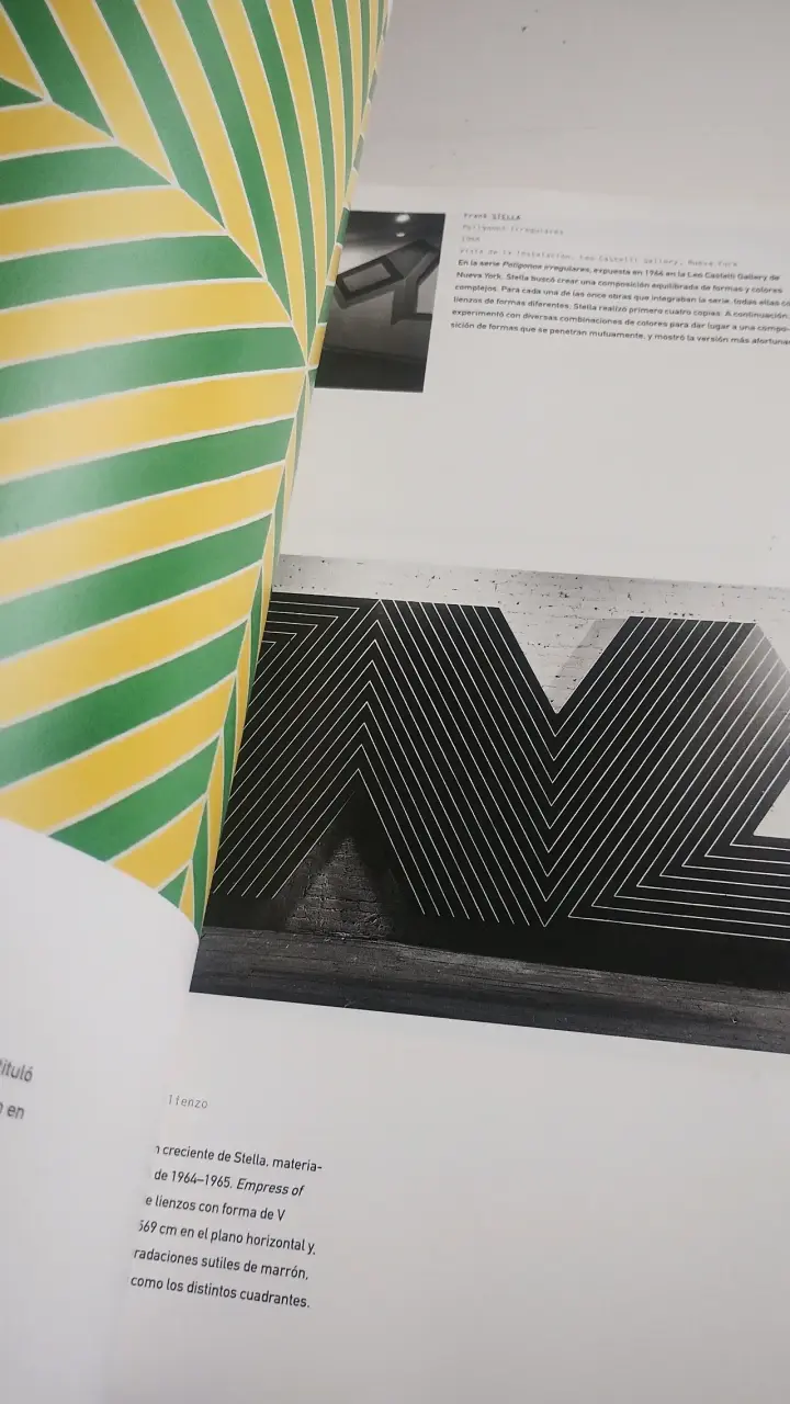 Libro Arte Minimalista. James Meyer - 5