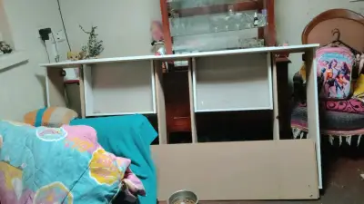 Cama nido blanca Home Mobili 1 plaza - miniatura 4