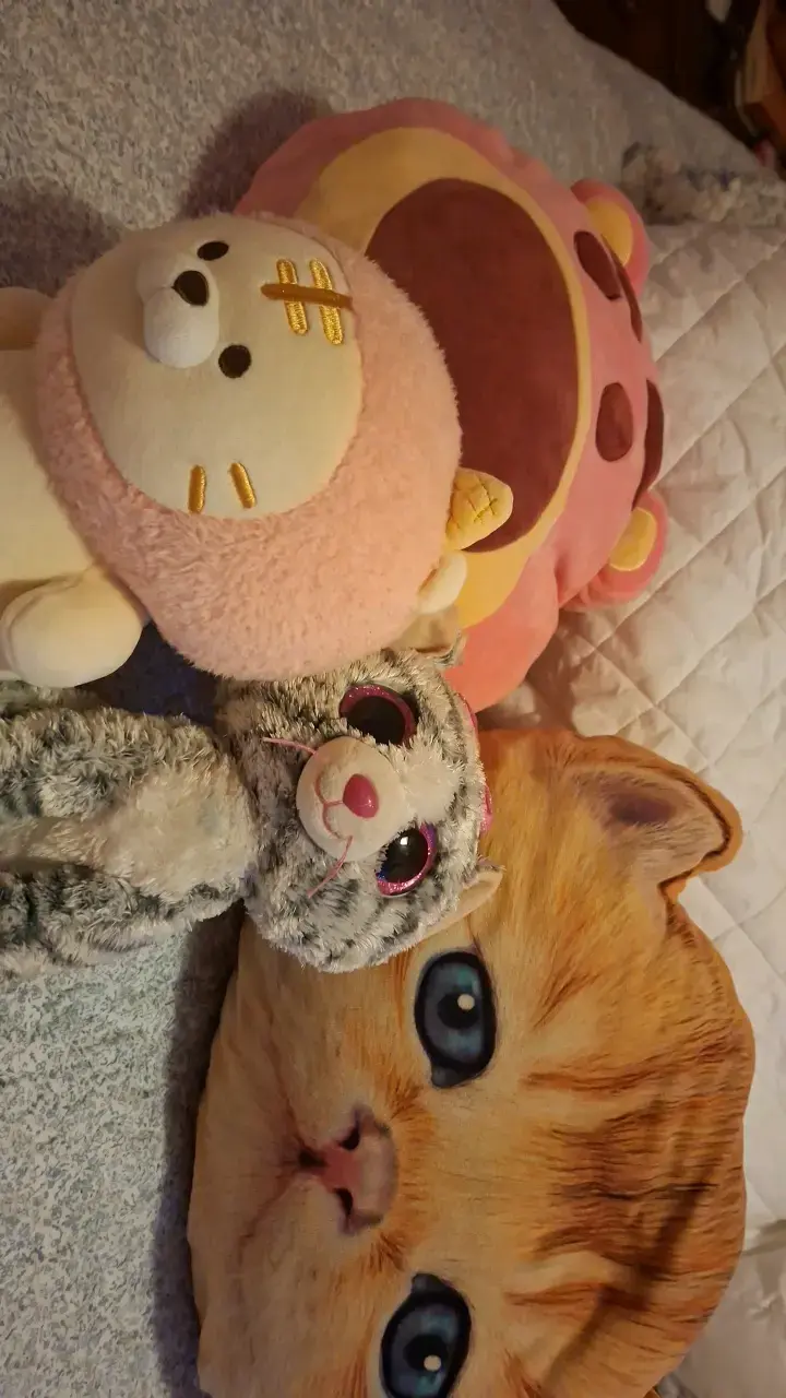 Set de peluches y cojín de gato - 1