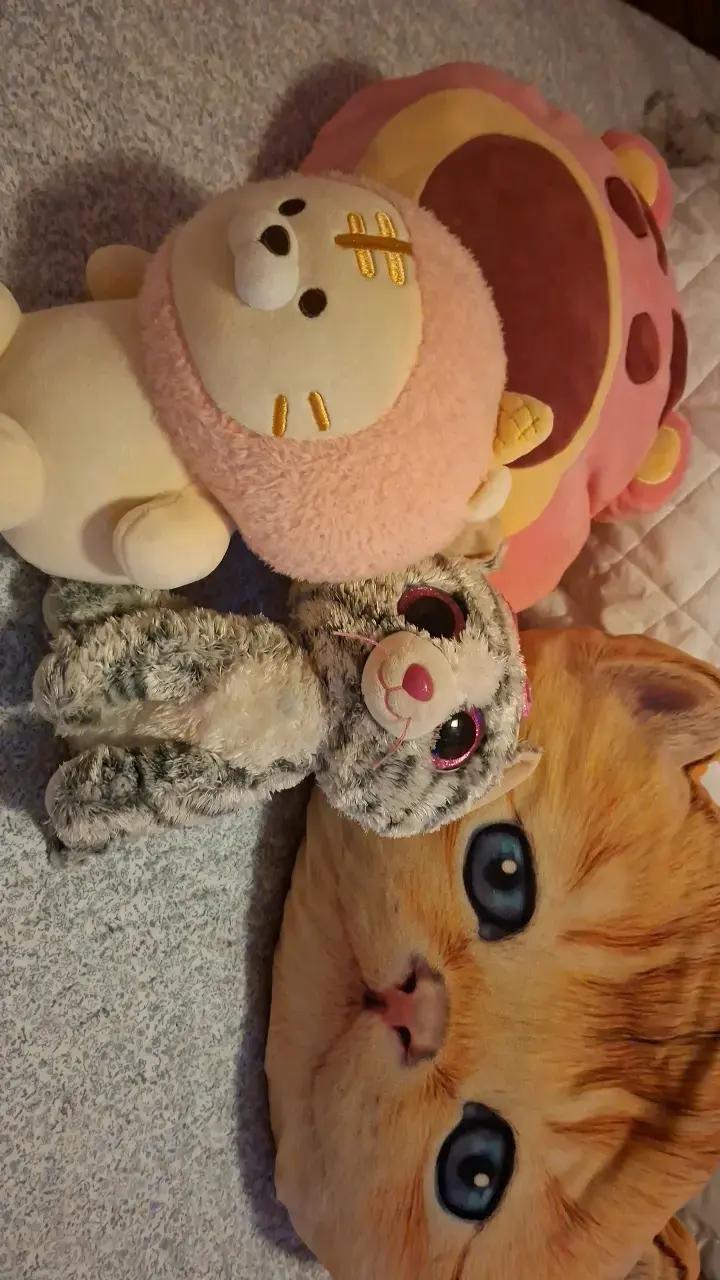 Set de peluches y cojín de gato - 2