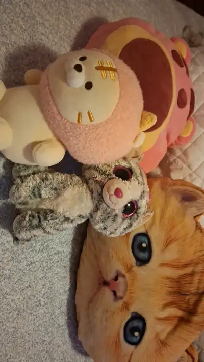 Set de peluches y cojín de gato - miniatura 2