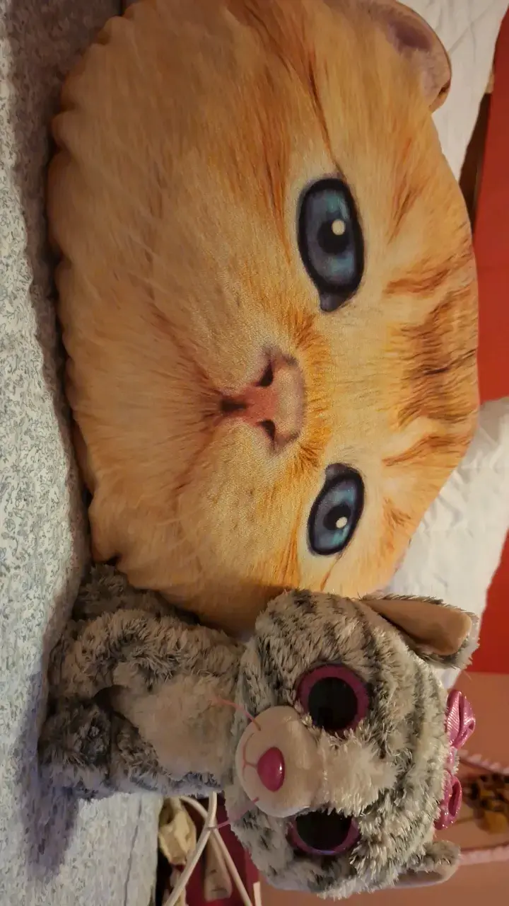 Set de peluches y cojín de gato - 4