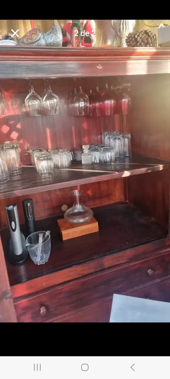 Vitrina de Madera con Puertas de Rejilla - 1