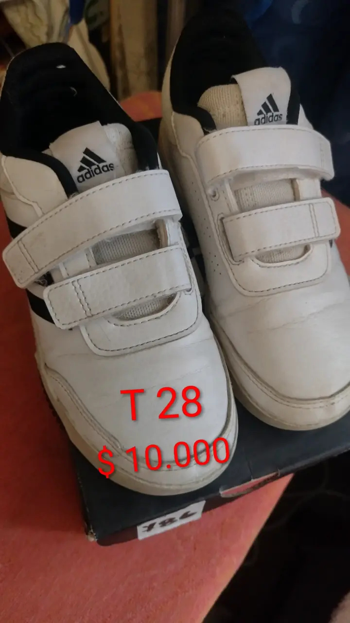 Zapatillas, acuario y silla para el auto - 1