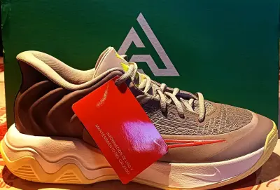 Zapatillas Nike Giannis Immortality 4 para Básquet - miniatura 1