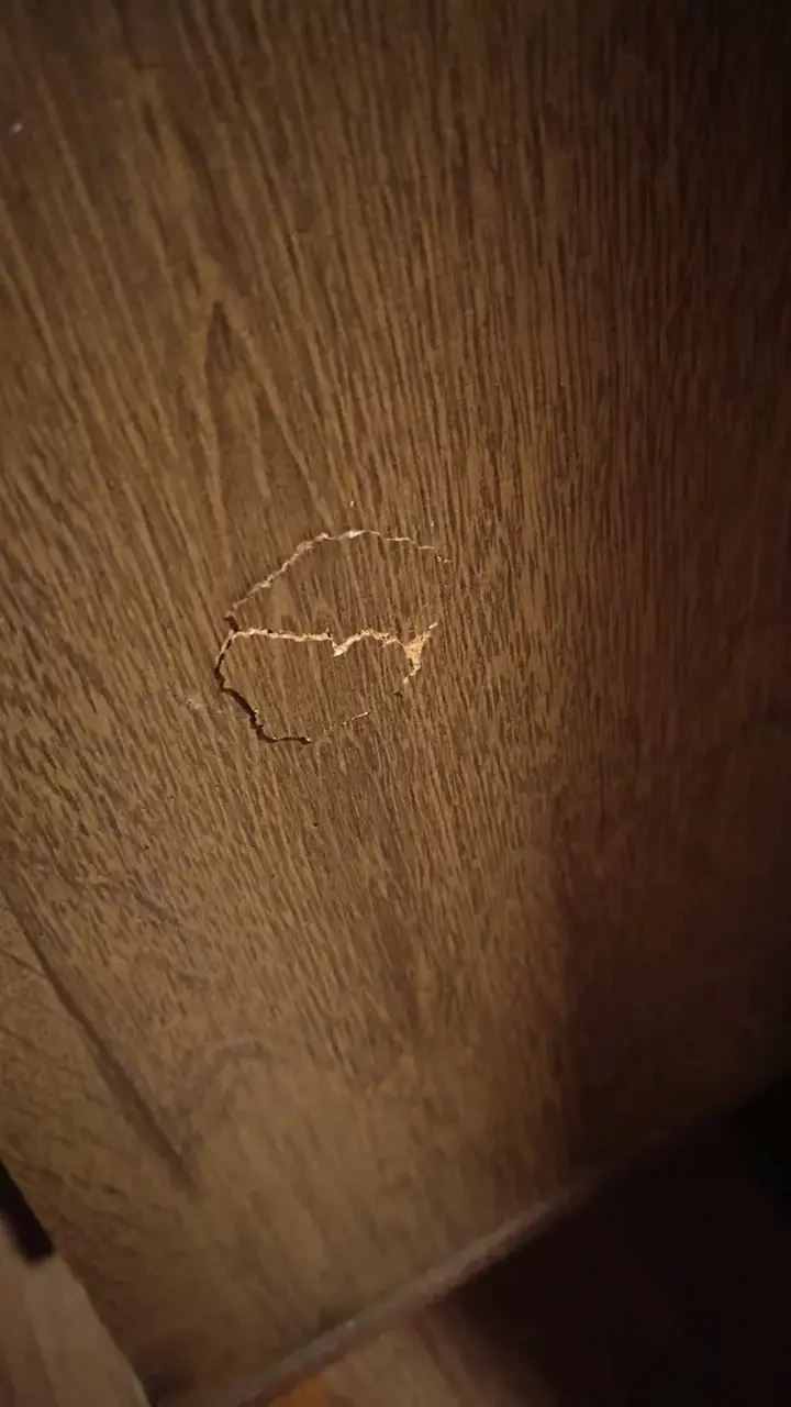 Mueble de TV de madera con compartimentos - 5