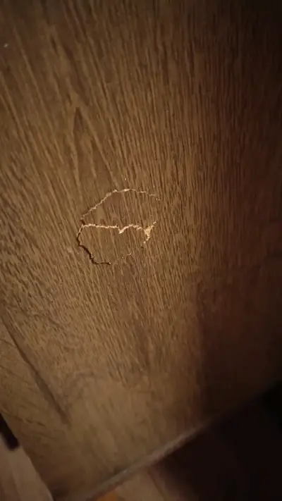 Mueble de TV de madera con compartimentos - miniatura 5