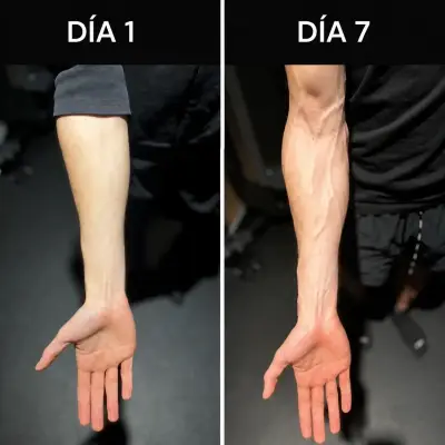 Set 5 en 1 Hand Grip + Ejercitador de Antebrazo - miniatura 4
