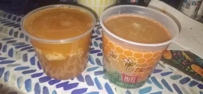 Miel natural en envase plástico 1kg - miniatura 1
