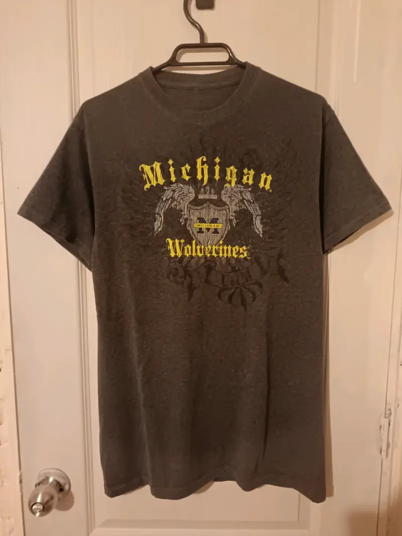 Polera gris Michigan Wolverines y2k - 1