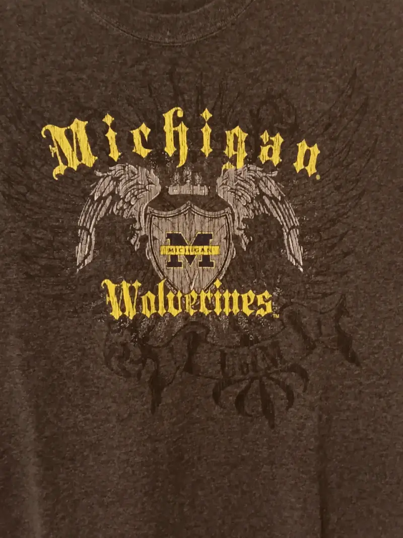 Polera gris Michigan Wolverines y2k - 2