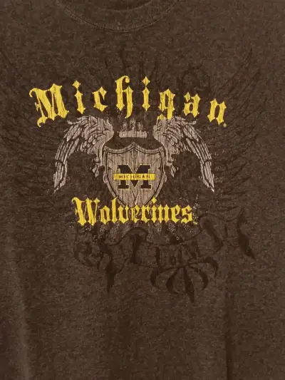 Polera gris Michigan Wolverines y2k - miniatura 2