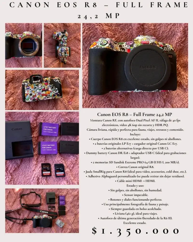 Cámara Canon EOS R8 Full Frame 24.2 MP con Accesorios