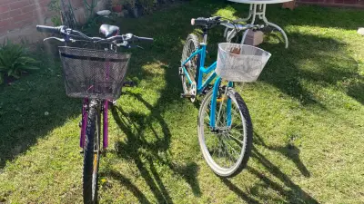 Bicicletas Oxford para adultos con canasto - miniatura 1