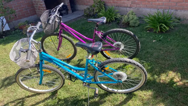 Bicicletas Oxford para adultos con canasto - 2