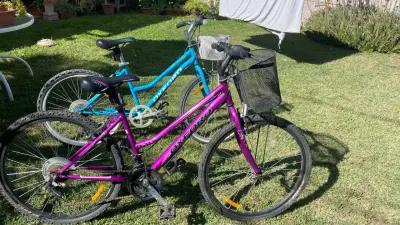 Bicicletas Oxford para adultos con canasto - miniatura 3