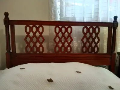 Cama de madera con somier sueco Rosen - miniatura 1