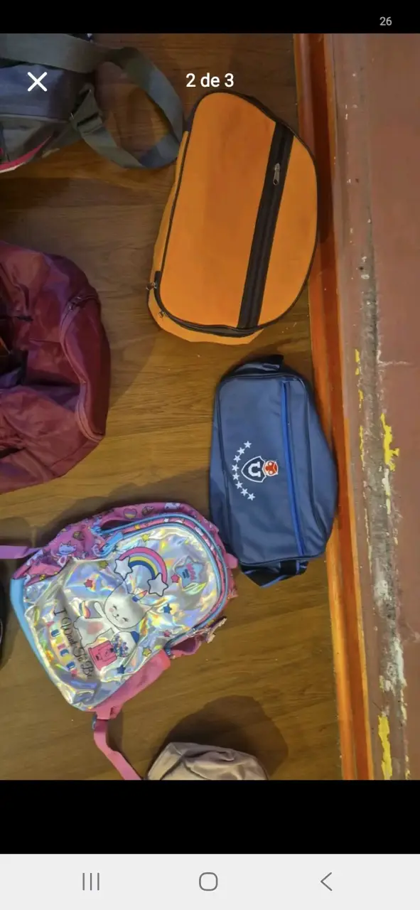 Variedad de bolsos - 2