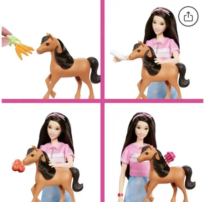Set de Juego Barbie Cuidado de Ponys con Renee - 5