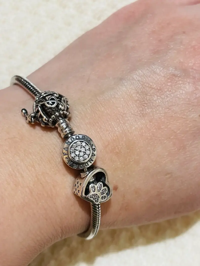 Pulsera de plata con Charms tipo Pandora - 1