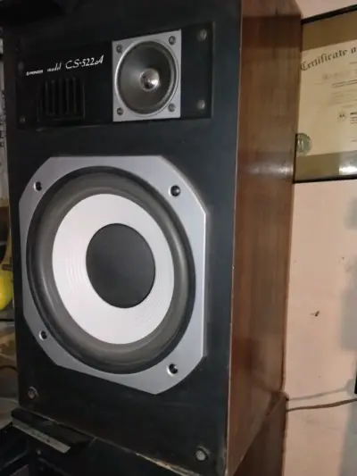 Parlantes Pioneer CS-522A vintage de madera - miniatura 5
