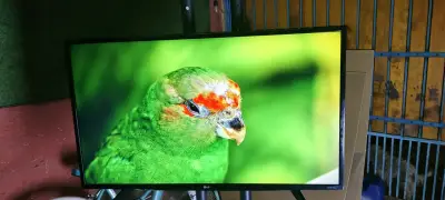 Televisor LG UHD 4K con Control Remoto - miniatura 1