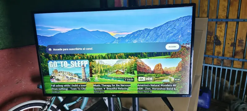Televisor LG UHD 4K con Control Remoto - 4