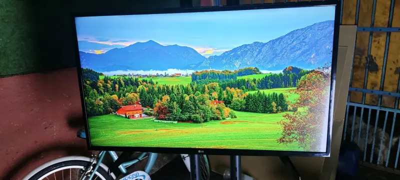 Televisor LG UHD 4K con Control Remoto - 5