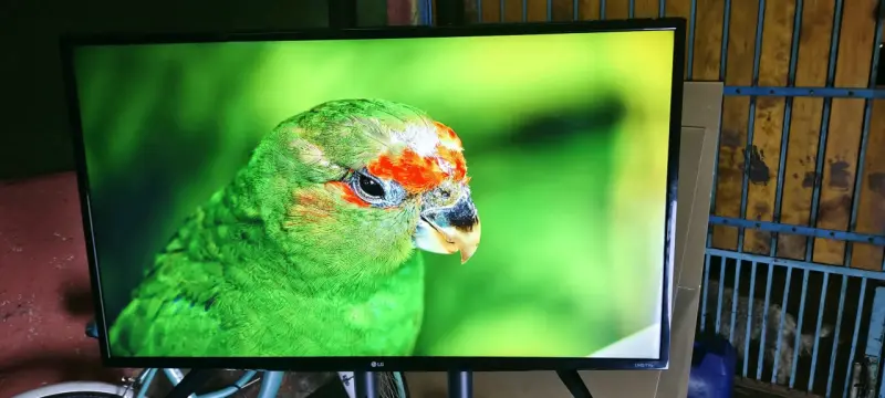 Televisor LG UHD 4K con Control Remoto - 6