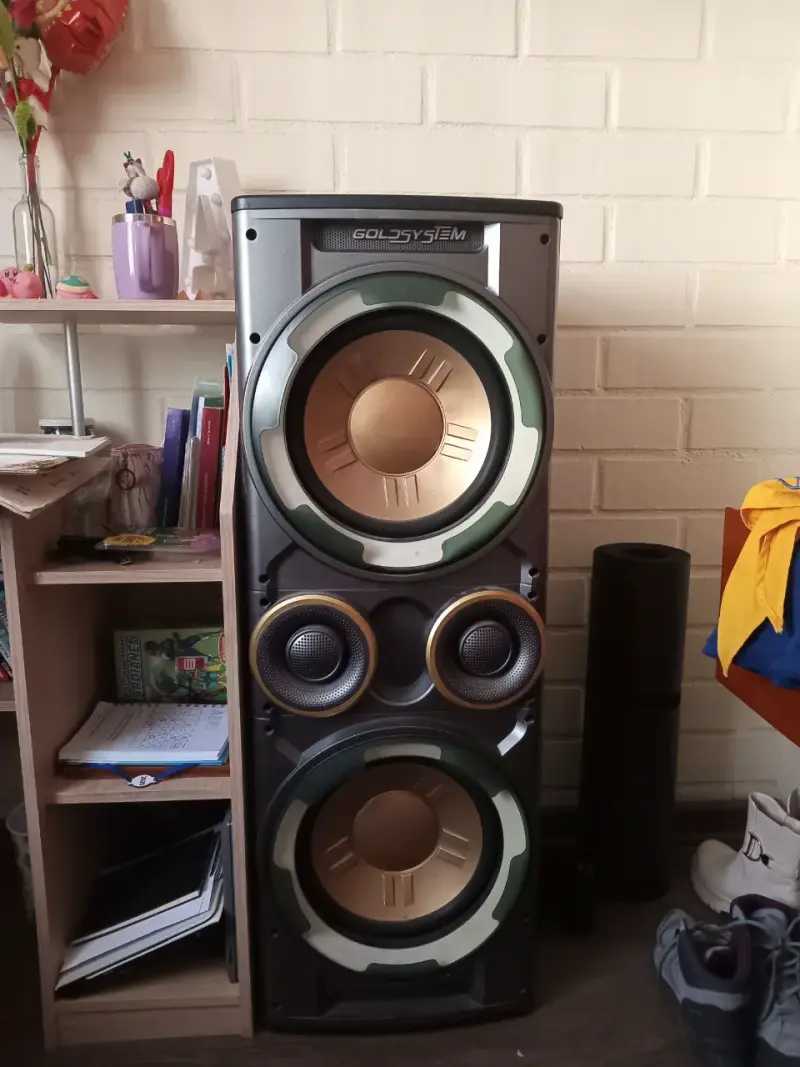 2 Parlantes Goldsystem con control de volumen - 2