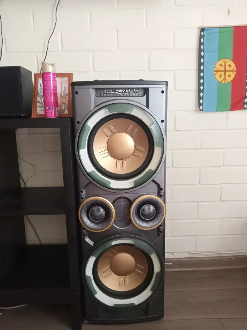 2 Parlantes Goldsystem con control de volumen - 5