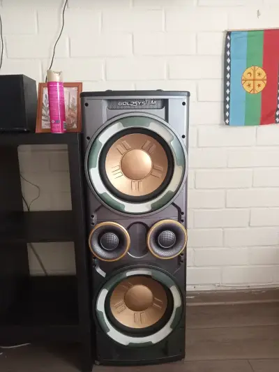 2 Parlantes Goldsystem con control de volumen - miniatura 5