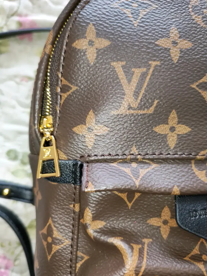 Mochila Louis Vuitton Monogram Mini - 2