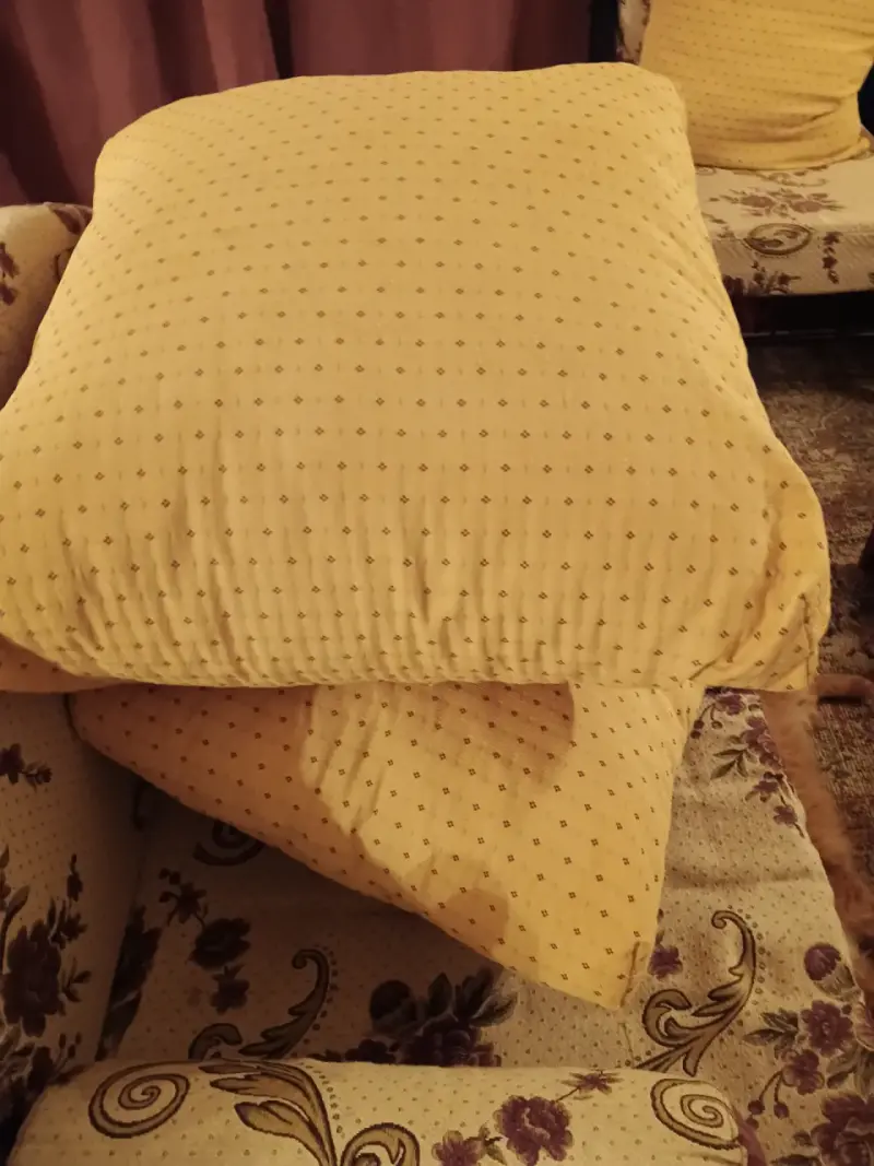 Cojines para living - 3