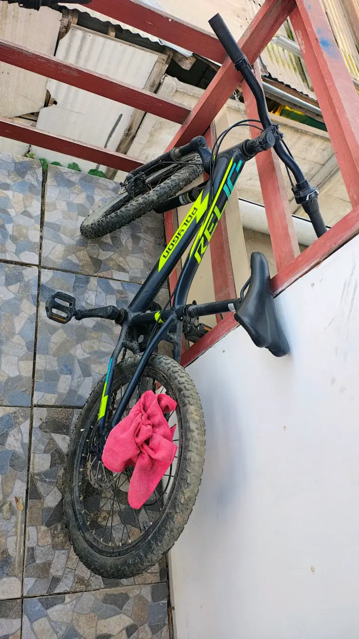 Bicicleta de montaña Rod 20 para niños