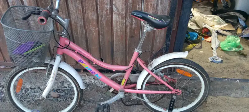 Bicicleta infantil Bianchi Classic 20 rosa con canasto - 1