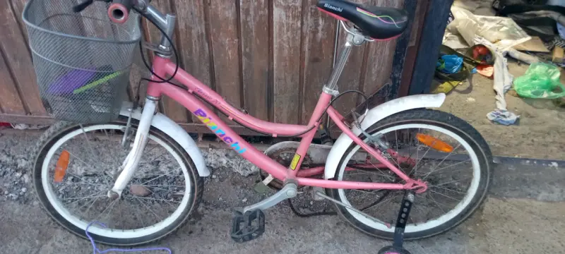 Bicicleta infantil Bianchi Classic 20 rosa con canasto - 2