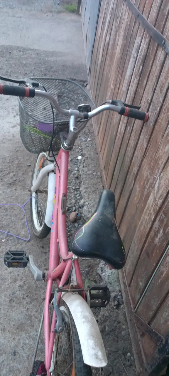 Bicicleta infantil Bianchi Classic 20 rosa con canasto - 4