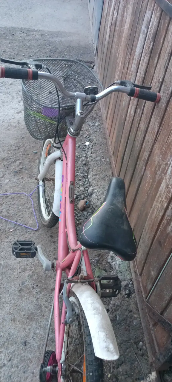 Bicicleta infantil Bianchi Classic 20 rosa con canasto - 5