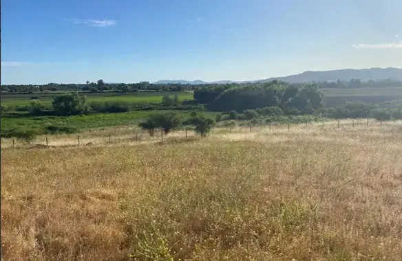 Terreno de 7300 m2 en zona rural - 2