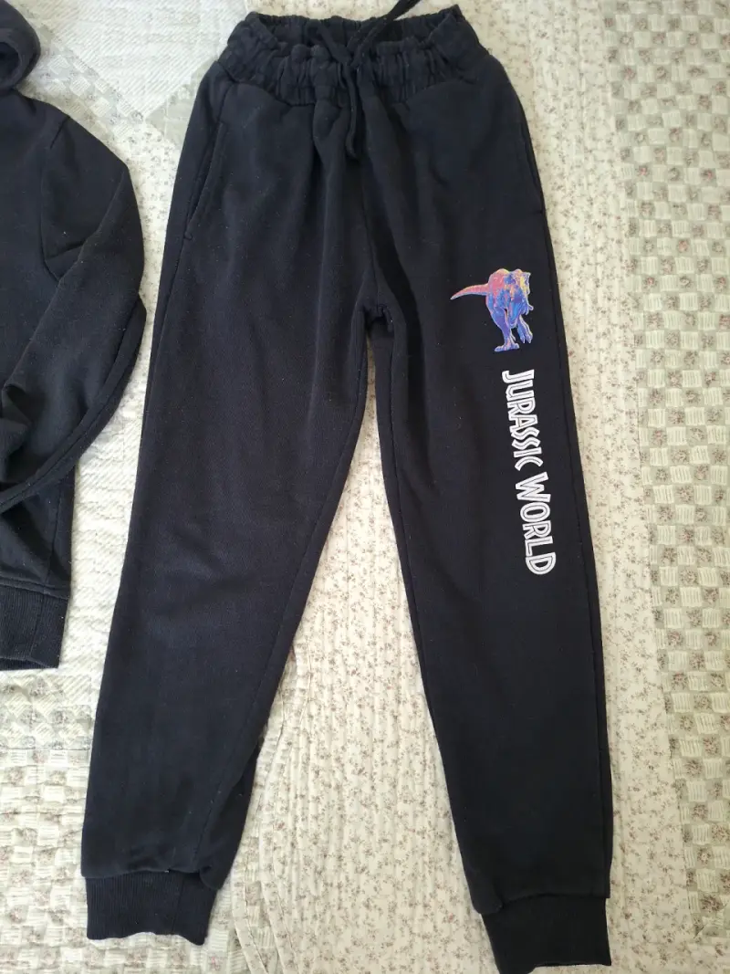 Conjunto de polerón y pantalón Jurassic World para niños - 4