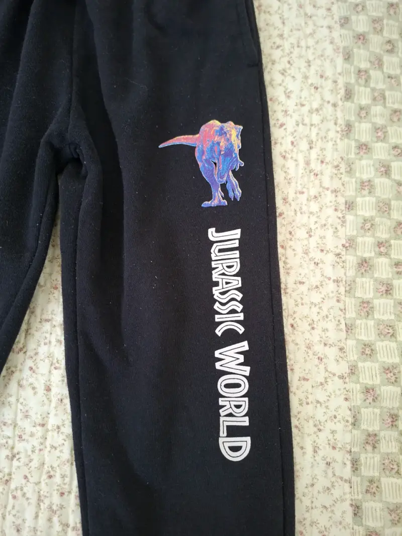 Conjunto de polerón y pantalón Jurassic World para niños - 5