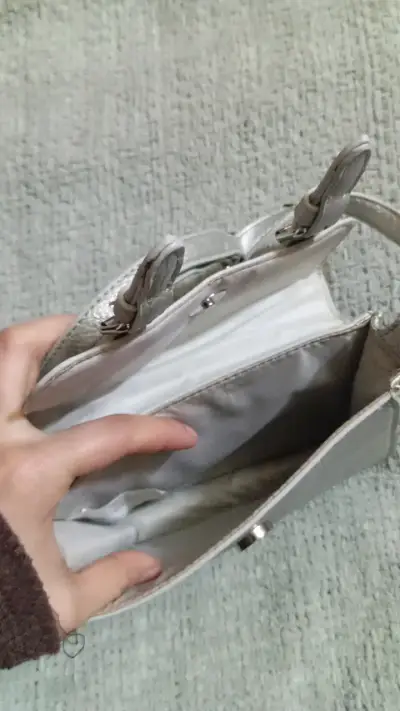 Cartera plateada pequeña con correa ajustable - miniatura 4