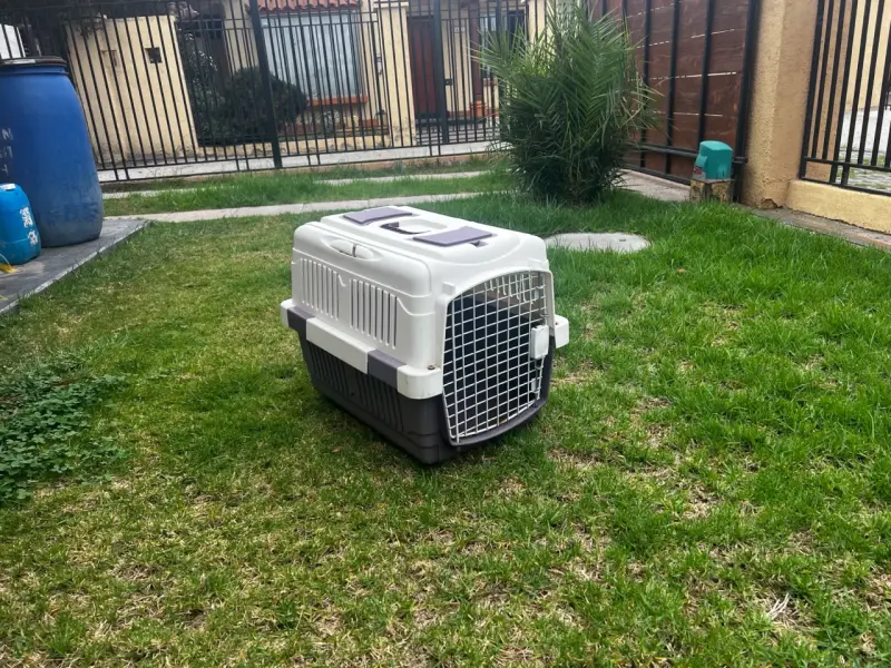 Transportadora de mascotas tamaño mediano - 2