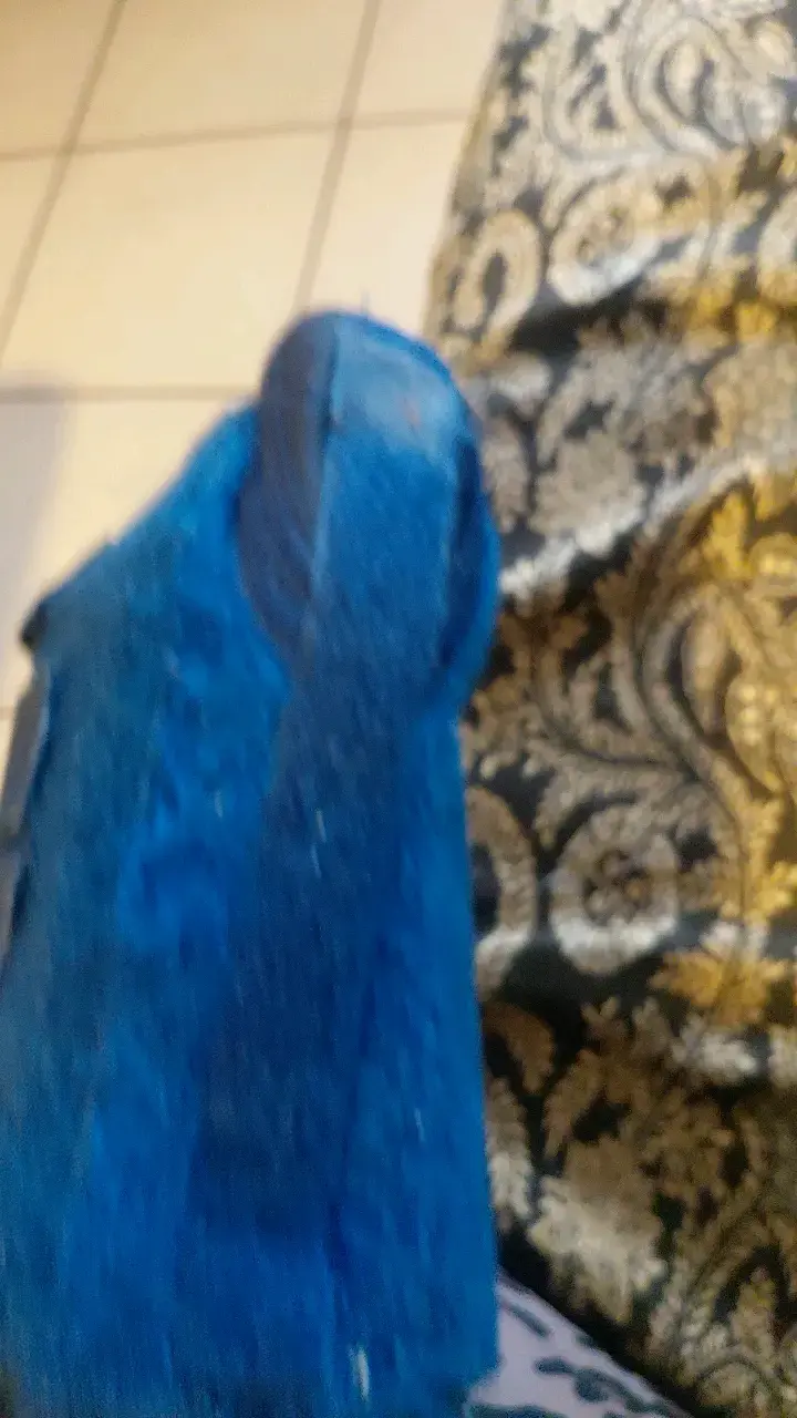 Soporte ortopédico para muñeca azul - 6