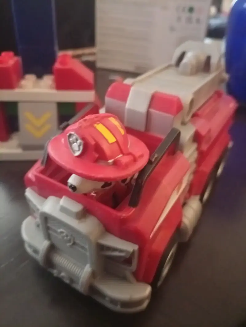 Paw Patrol - 2