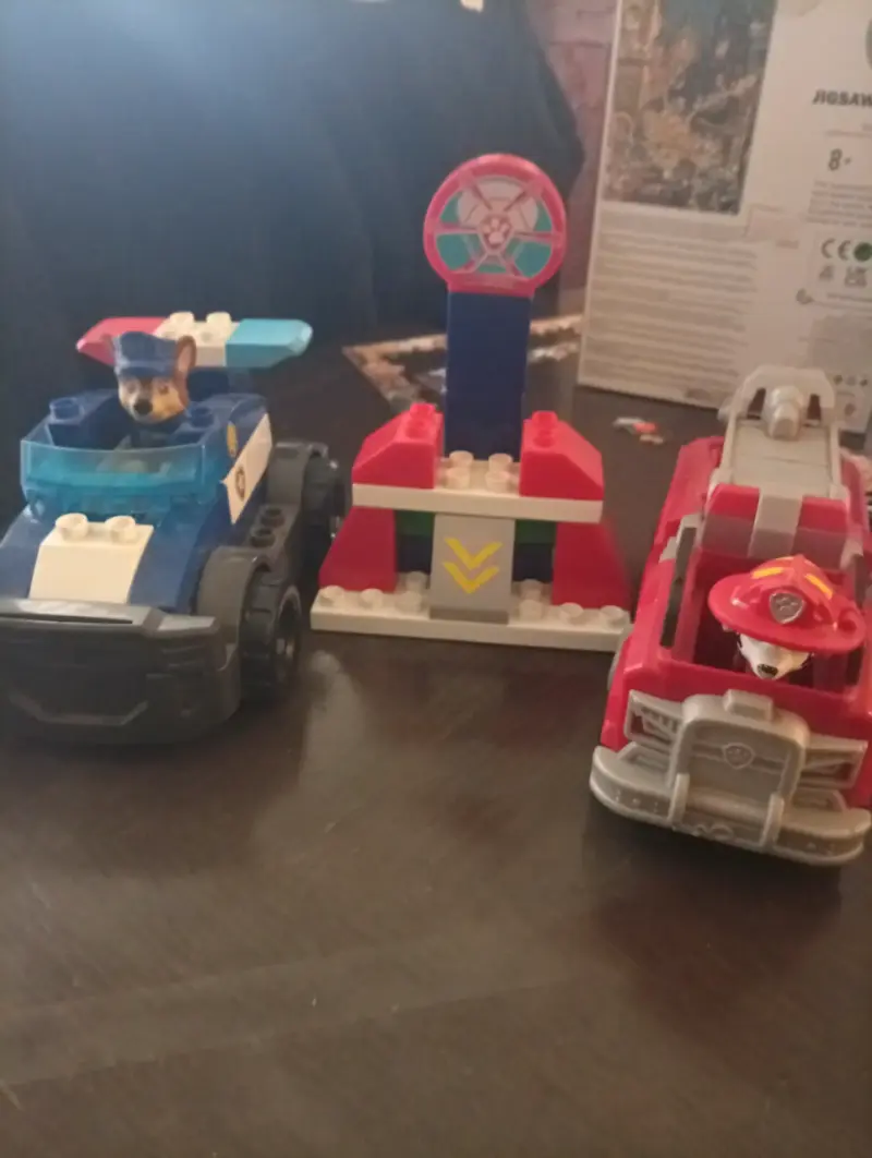 Paw Patrol - 5