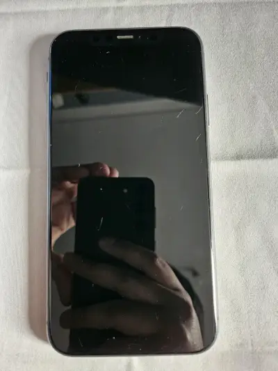 iPhone 11 64 GB Liberado - miniatura 1
